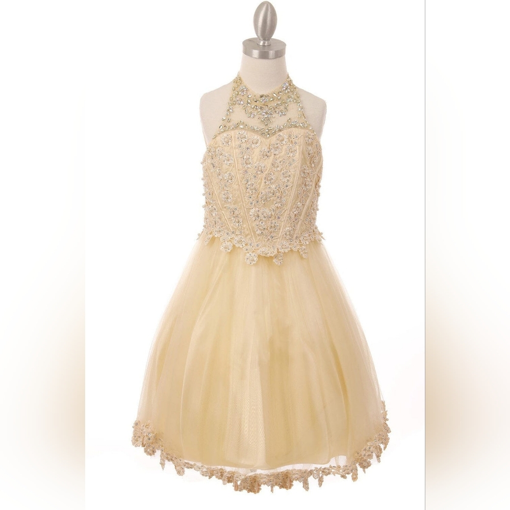 Beaded Sequin Short Dress